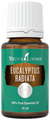 Young Living Eucalyptus Radiata