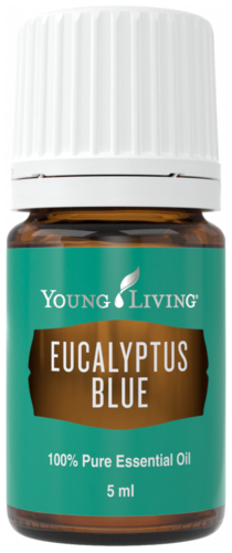 Young Living Eucalyptus Blue