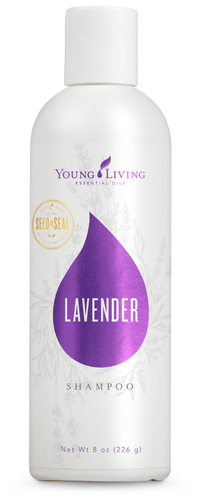 Young Living Lavender Volume Shampoo