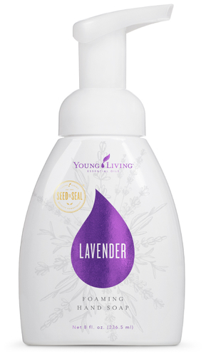Young Living Lavendel Seifenschaum