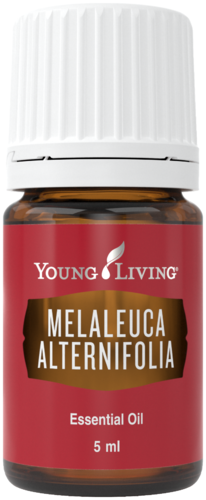 Young Living Tea Tree