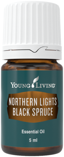 Young Living Northern Lights Black Spruce