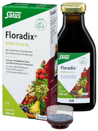 Salus Floradix Eisen plus B12 vegan Spezialtonikum