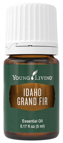 Young Living Idaho Grand Fir