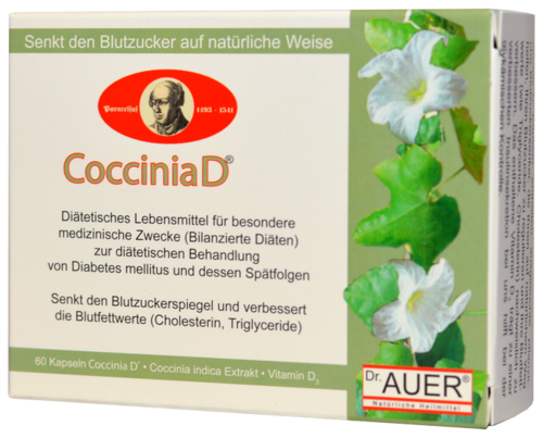 Coccinia D nach Dr. Auer