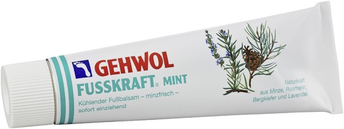 Gehwol Fusskraft Mint