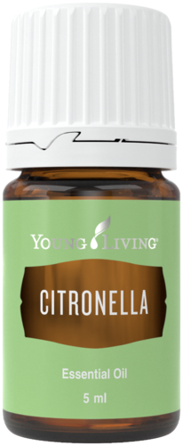 Young Living Citronella