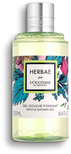 L'Occitane Herbae par Duschgel