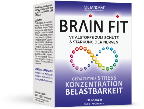 Metanorm Brain Fit Kapseln 
