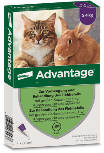 Advantage 80 mg Lösung für Katzen und Kaninchen über 4 kg
