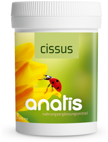 Anatis Cissus