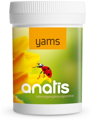 Anatis Yams