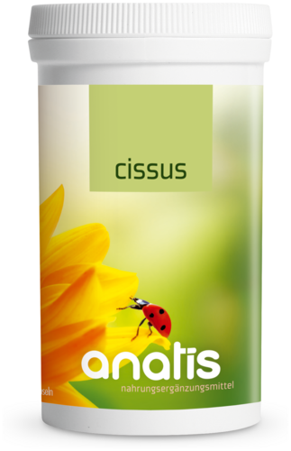 Anatis Cissus