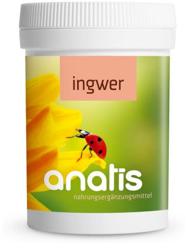 Anatis Ingwer