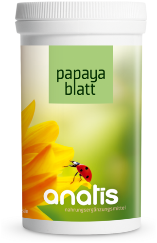 Anatis Papayablatt