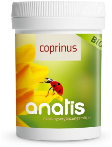 Anatis Coprinus Pilz BIO
