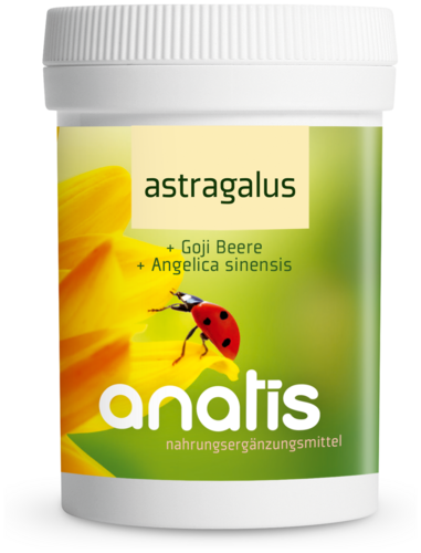 Anatis Astragalus