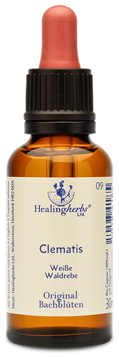 Adler Bachblüten Clematis