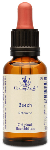 Adler Bachblüten Beech