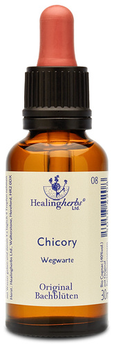 Adler Bachblüten Chicory