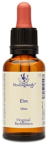 Adler Bachblüten Elm