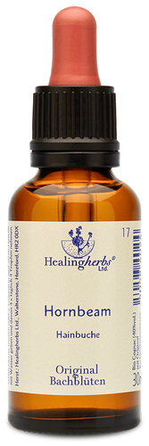 Adler Bachblüten Hornbeam
