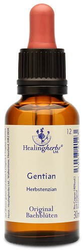 Adler Bachblüten Gentian