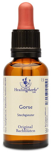 Adler Bachblüten Gorse