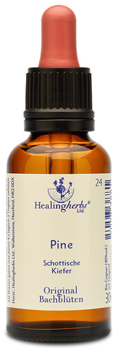 Adler Bachblüten Pine