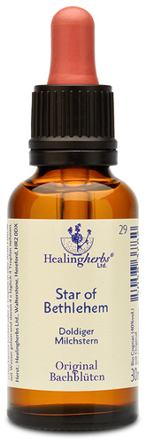 Adler Bachblüten Star of Bethlehem