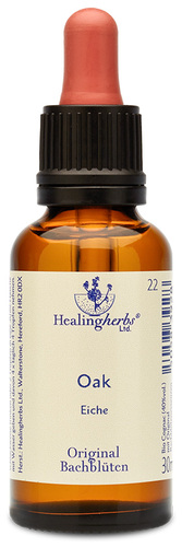 Adler Bachblüten Oak