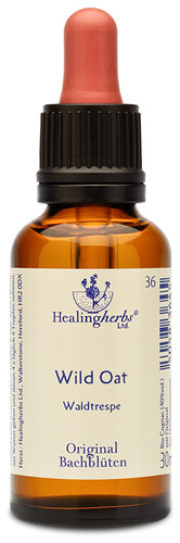 Adler Bachblüten Wild Oat