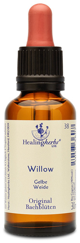 Adler Bachblüten Willow