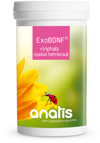 Anatis ExoBDNF +Triphala +Baikal Helmkraut