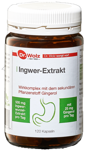 Dr. Wolz Ingwer Extrakt